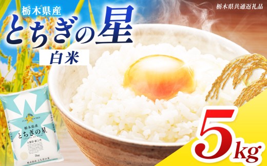 【栃木県共通返礼品】米 お米 とちぎの星 5kg 令和7年度産  | お米 精米 白米 大粒 小粒 ご飯 飯 こめ コメ 栃木県 那珂川町 送料無料