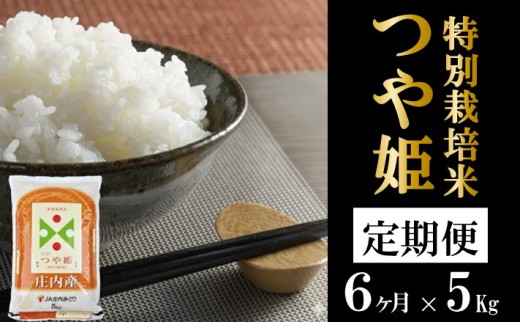 ≪6ヶ月定期便≫ 特別栽培米 つや姫 5kg×6ヶ月 計30kg 山形県庄内産 毎月下旬頃にお届け 東北 酒田市 庄内地方 庄内平野 お米 精米 白米 ブランド米 庄内米 ごはん ご飯 農協 JA 産地直送 JA庄内みどり SI0059