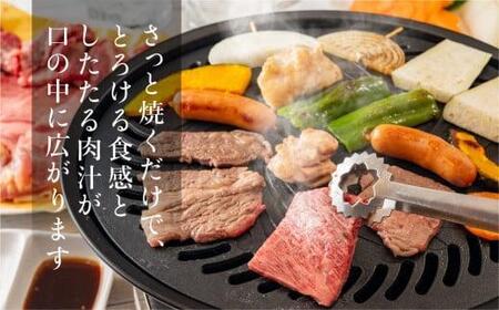 【1月配送】飛騨牛 みすじ ウデ 焼肉 500g 盛り合わせ ( 赤身 & 霜降り ) 牛 黒毛和牛 国産牛 肉 発送時期が選べる 飛騨高山 飛騨牛のこもり FC032VC01