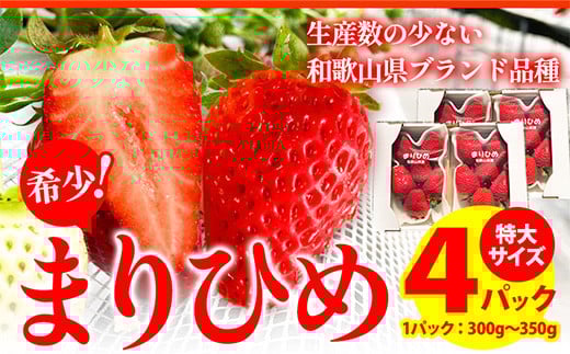 
                  ＜先行予約＞希少！まりひめ　特大サイズ　約300g～350g×4パック きよ農園《2027年2月中旬-3月末頃出荷》 いちご 苺 まりひめ フルーツ 果物 スイーツ 送料無料
                