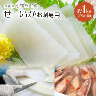 【ふるさと納税】せーいか お刺身用 約1kg(200g×5柵)【配送不可地域：離島】【1549415】