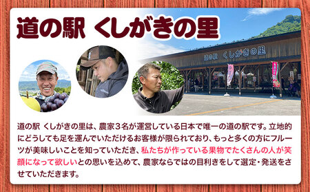 桃 紀の川市産 約1kg(3玉) 紀農人株式会社《2025年6月上旬-8月中旬頃出荷》和歌山県 紀の川市 果物 フルーツ 桃 もも モモ 旬