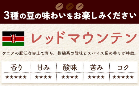 自家焙煎スペシャルティ 珈琲 ドリップバッグ 3種 セット 1箱:ドリップバッグ5個入り AyaHaruCoffee《90日以内に出荷予定(土日祝除く)》【配送不可地域：離島】|ドリップコーヒー ドリ
