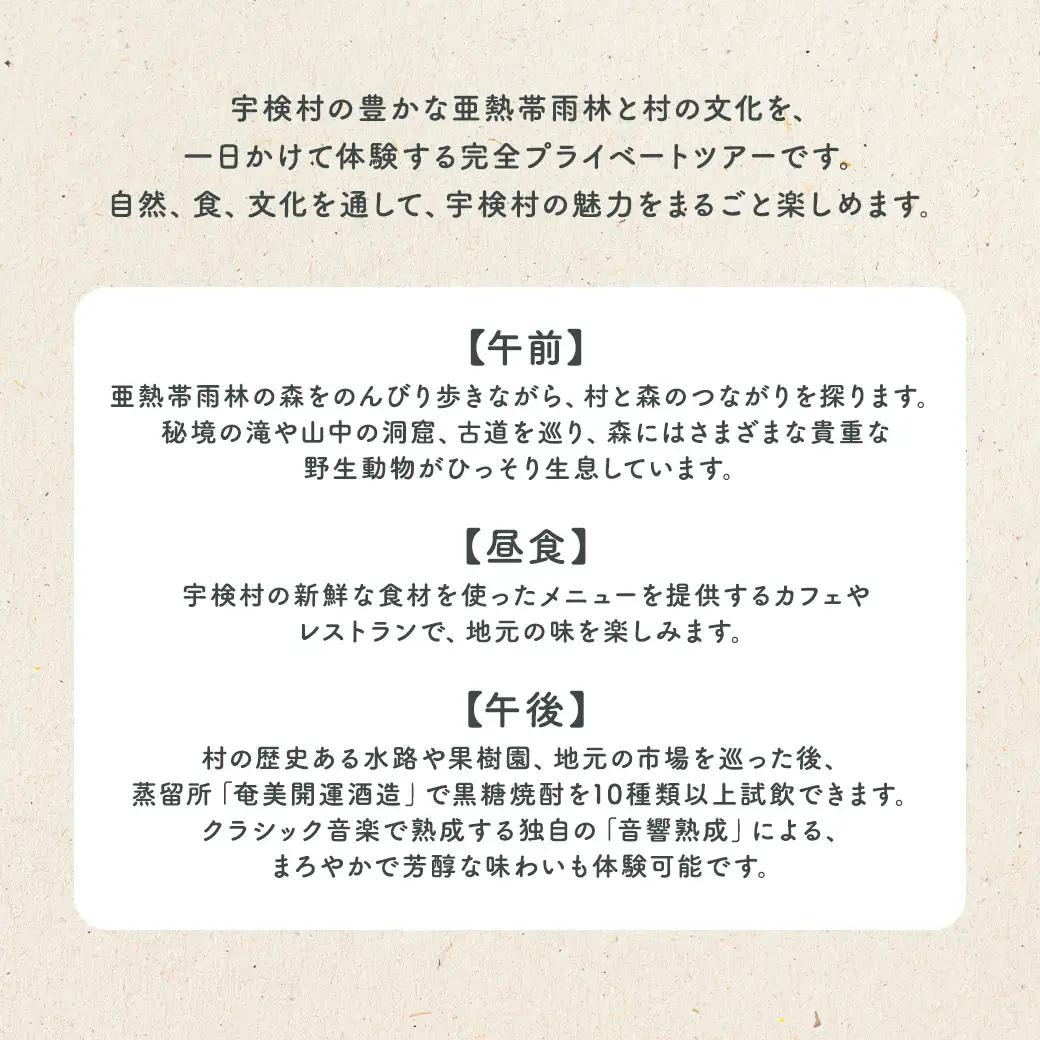 宇検村ジャングル＆村体験ツアー 4名様 奄美大島 宇検村 鹿児島県 旅行 自然 冒険 完全プライベート