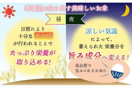 白山の恵み 令和７年度産 コシヒカリ（精米）10kg [B-009013]