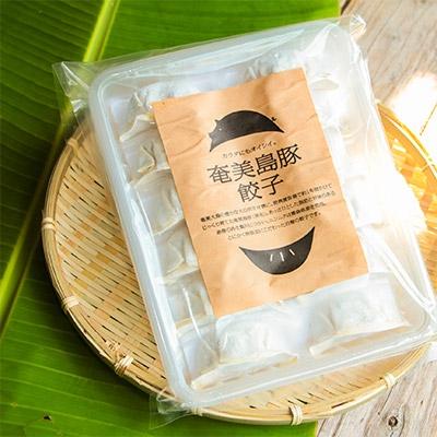 ふるさと納税 奄美市 奄美島豚(黒毛)を贅沢に使用したこだわりの奄美島豚餃子 |  | 03