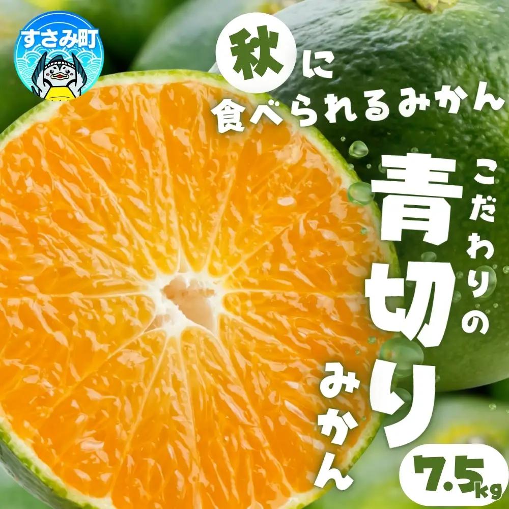 みかん 【2026年9月～発送】青切りみかん 約7.5kg(サイズ混合)【nuk107F】