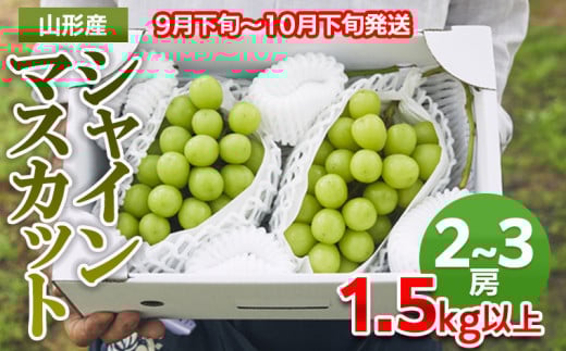山形市産 シャインマスカット 秀1.5kg以上(2~3房）【前半】 FZ22-331