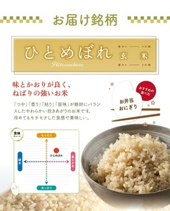 SC0633　令和7年産【玄米】ひとめぼれ　10kg(5kg×2袋) HO