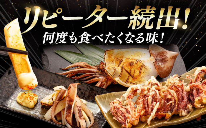 【全12回定期便】するめ いか 一夜干し セット《対馬市》【対馬地域商社】九州 長崎 海鮮 [WAC026]冷凍 新鮮 簡単調理 肉厚 スルメイカ いか 小分け 天ぷら 炒め物 おつまみ 個包装 贈り