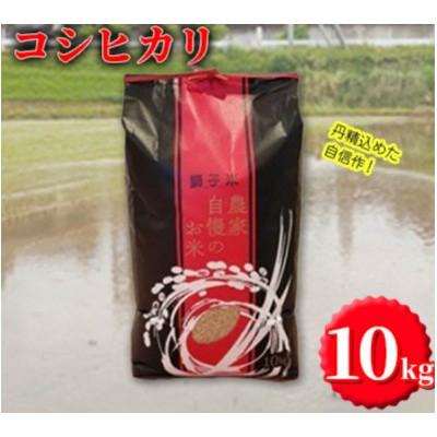 ふるさと納税 石岡市 【令和7年産】獅子米 コシヒカリ 玄米 10kg