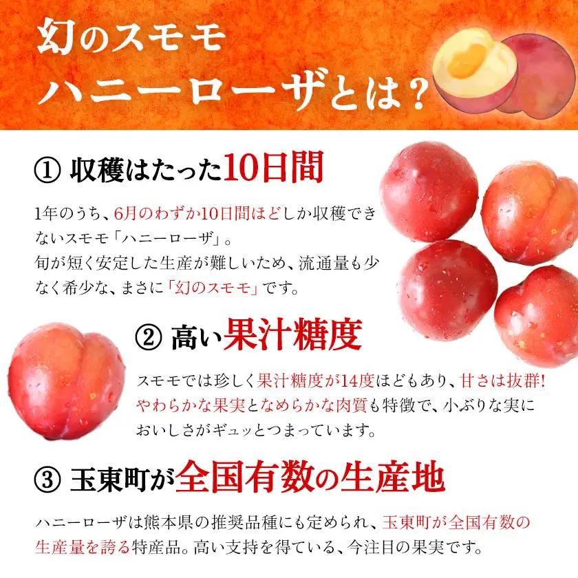 ハニーローザシャーベット 12個 ぷらっとぎょくとう《60日以内に出荷予定(土日祝除く)》 熊本県 玉名郡 玉東町 スモモ すもも 果物 デザート スイーツ フルーツ 旬 シャーベット アイス セット