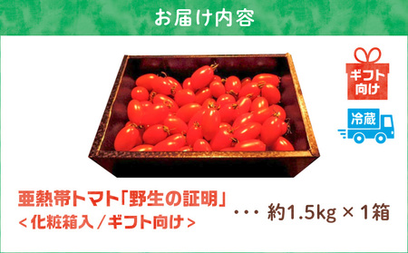 ＜化粧箱入／ギフト向け＞亜熱帯トマト「野生の証明」 - トマト 奄美大島産 ギフト向け フルーツトマト ミニトマト 野生の証明 甘い プレゼント 1.5kg 野菜 ギフト 化粧箱入り おやつ おつまみ