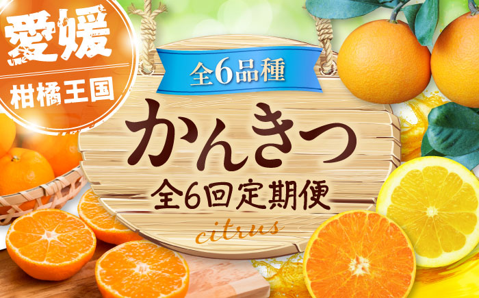 【全6回定期便】 【2026年11月以降毎月発送】えひめかんきつ定期便 愛媛県大洲市/愛媛県観光物産協会 みかん 日の丸ゴールド 紅まどんな 伊予柑 デコポン せとか 河内晩柑 [AGDN001]