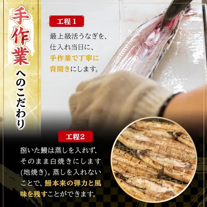 【うなぎ】 蒲焼 鹿児島県産 特大 2尾 うなぎ【00-025-16-90】