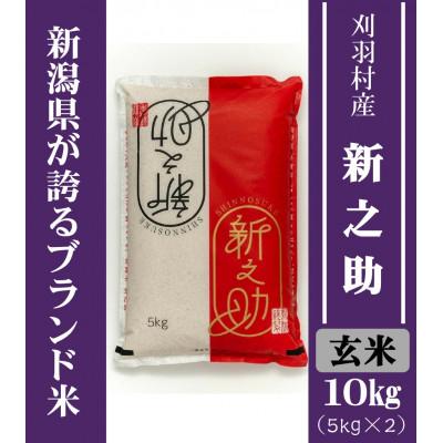 ふるさと納税 刈羽村 【新潟ブランド米】【玄米】刈羽村産新之助 10kg(5kg×2袋)