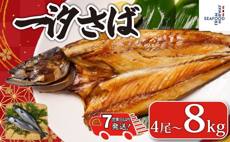 
                  【 スピード配送 】 一汐さば 【選べる容量】 4尾～8kg さば 鯖 さぬき塩 塩さば 塩鯖 鯖の開き さばの開き 無添加 ノルウェー 厳選 海の幸 大容量 おつまみ お弁当 惣菜 おかず 調理用 料理 素材 冷凍 冷凍品 長期保存 保存食 鮮度 旨味 お取り寄せ グルメ 食品 魚貝 魚介 ギフト 贈り物  ふるさと納税鯖 ふるさと納税さば ふるさと納税 千葉県 銚子市 送料無料 エドノフーズ
                