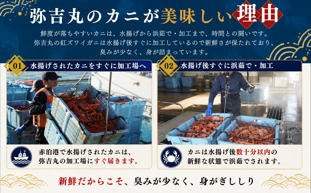 佐渡島産 浜茹で紅ズワイガニ 