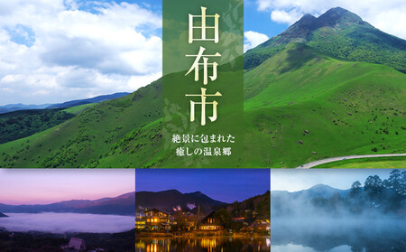 おおいた和牛 カルビ焼肉 1.5kg（750g×2パック）