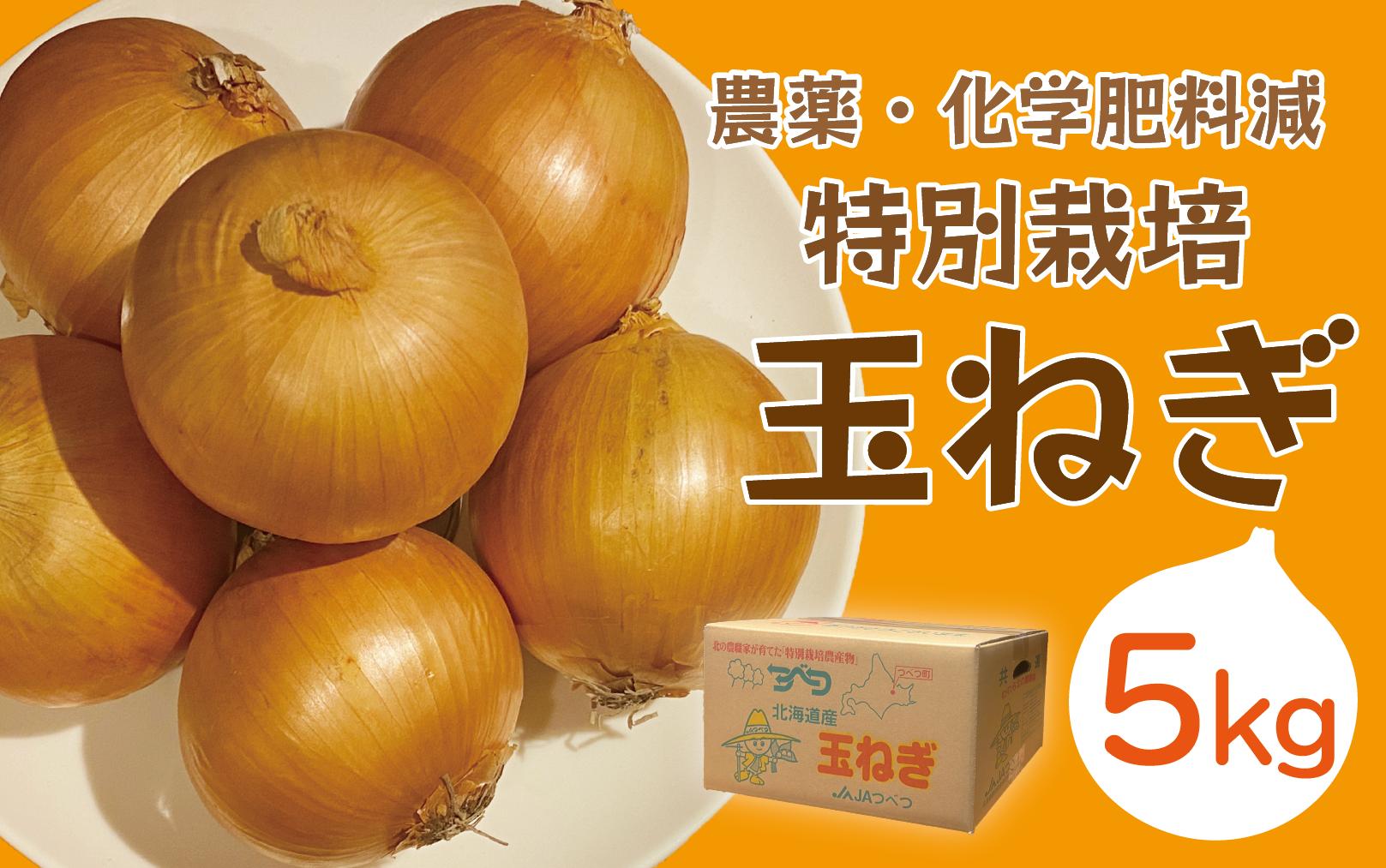 
R6年産　玉ねぎ　5kg　特別栽培/005-13301-b01B
