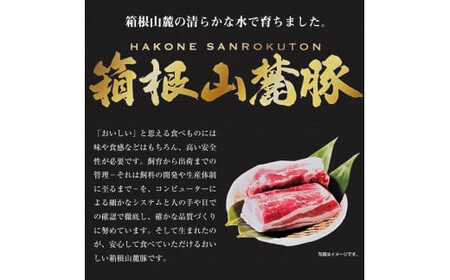 箱根山麓豚　モモ・ウデ切り落とし３K盛り(500ｇ×６パック)【 箱根山麓豚 切り落とし 神奈川県 小田原市 】