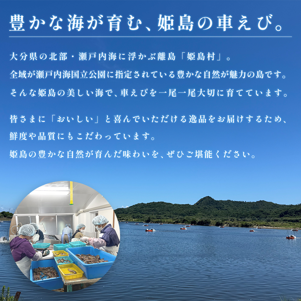 生食用凍眠凍結姫島車えび(養殖)約200ｇ(6尾～10尾)×10パック　A5
