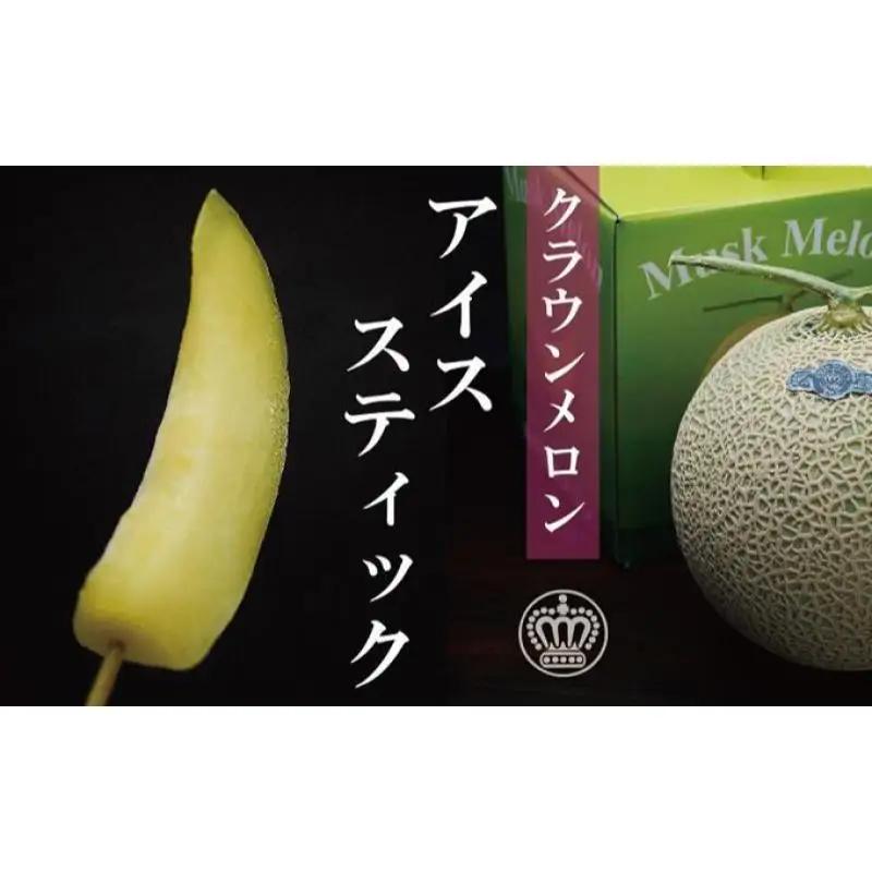 アイススティック 10本 化粧箱 冷凍 フルーツ メロン