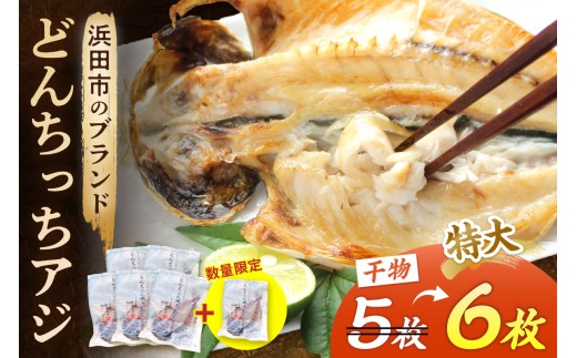 【生活応援品】浜田市のブランド「どんちっちアジ」干物特大（200gサイズ）6枚個包装 魚 魚介類 海鮮 アジ 加工品 個包装 冷凍【019_1953】
