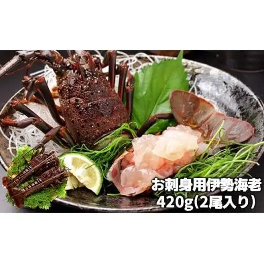 C01-B30 刺身用活〆冷凍伊勢海老 420g