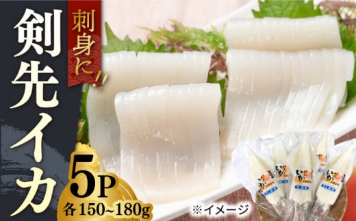 剣先イカ 5本 セット【丸徳水産】《対馬市》鮮度抜群 新鮮 ケンサキイカ シロイカ 下処理済 刺身 BBQ 惣菜 天ぷら フライ 海鮮 [WAE011]冷凍 あかいか 剣先いか 簡単調理 もう1品 処理済 まるいか 魚介 時短 煮物 和食 