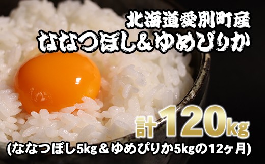 愛別町産米（ななつぼし5kg＆ゆめぴりか5kg）12ヶ月定期配送【A22309】