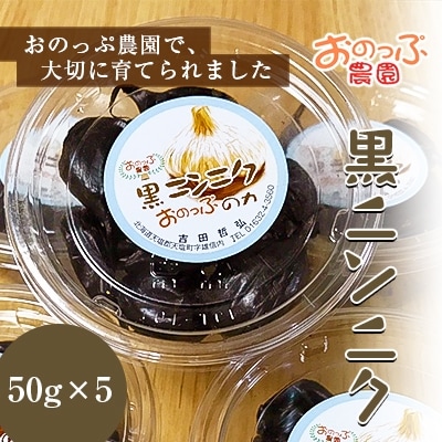 手塩にかけた天塩産!【ふるさと納税】おのっぷ農園黒ニンニク　50g×5パック