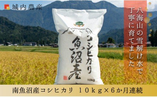 
                  【令和７年産】【お米定期便/全６回】南魚沼産コシヒカリ 白米１０ｋｇ＜５割減農薬栽培米＞城内農産
                