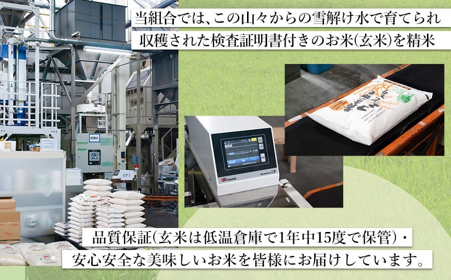 【令和7年産】 はえぬき10kg (5kg×2) 山形県庄内産　鶴岡米穀商業協同組合