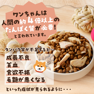 わんこ様用10点セット (a23-044)