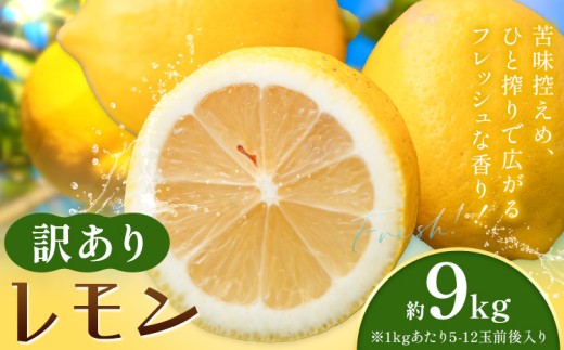 レモン 訳あり 黄色 檸檬 9kg (1kgあたり5-12玉前後) 株式会社農業福祉研究機構《2026年12月上旬-2027年2月上旬頃出荷》和歌山県 紀の川市 フルーツ 果物 お取り寄せフルーツ