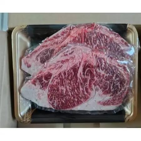 【毎月定期便】GIくまもとあか牛 ロースステーキ 500g(益城町)全2回【配送不可地域：離島】【4067695】