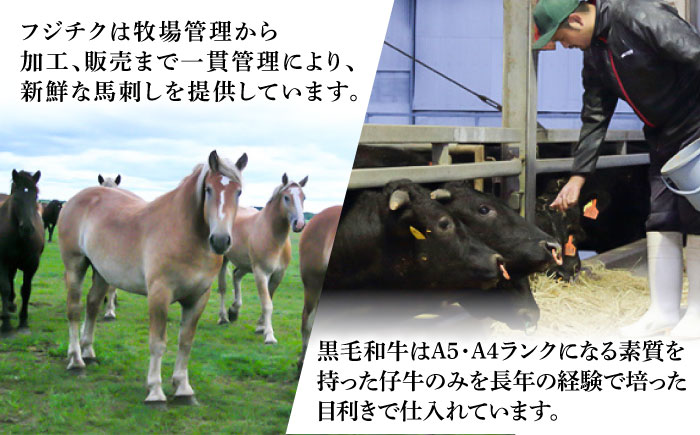 【全6回定期便】「熊本特産馬刺しと熊本黒毛和牛」フジチクオリジナル贅沢食べ比べセット 3905【株式会社フジチク】 [BHAD052]