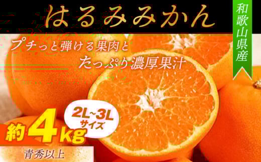 【先行予約】【厳選・濃厚】紀州有田産のはるみ約4kg(サイズおまかせ)《2026年1月下旬-2月中旬出荷》和歌山県 日高町 みかん はるみ 厳選 柑橘 フルーツ 送料無料