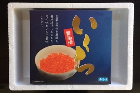 【北海道根室産】いくら醤油漬け500g C-01061【12月13日決済分まで年内配送】