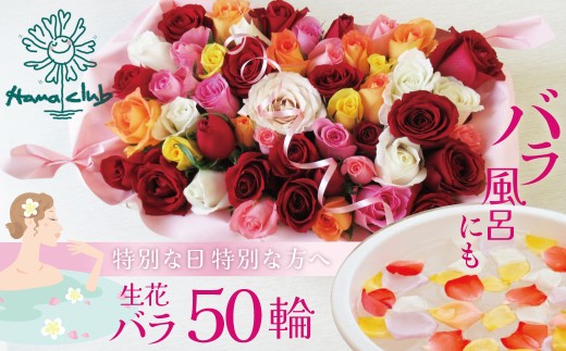〈日付指定も可能〉 観賞はもちろん！バラ風呂やフラワーシャワーに！ ローズインにゅーよーくミックス５０輪 バラ５０輪詰め合わせ 風呂 薔薇 ローズ ギフト プレゼント ラッピング インテリア お花 フラワー  H193-022