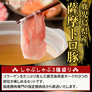 K-470-A 鹿児島県産 薩摩トロ豚しゃぶしゃぶ3種盛り(計1kg)【ふるさと産直バザール】霧島市 ロース バラ モモ 国産 鹿児島県産 肉 精肉