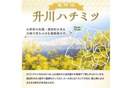 山形県遊佐町産 純粋はちみつ 180g 百花蜂蜜 生はちみつ 国産 天然 ナチュラル ピュア ハニー 日本製 健康 非常食 升川ハチミツ 遊佐町 庄内 東北 [1017]