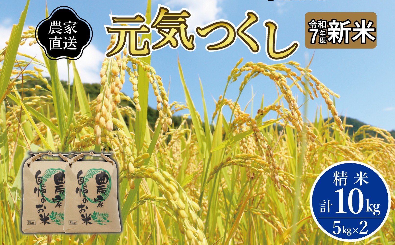 
            《令和7年産 》福岡県大川市産 ブランド 米「 元気つくし 」 5kg×2個　計10kg | お米 米 こめ 精米 白米 ライス ブランド米 ごはん ご飯
          