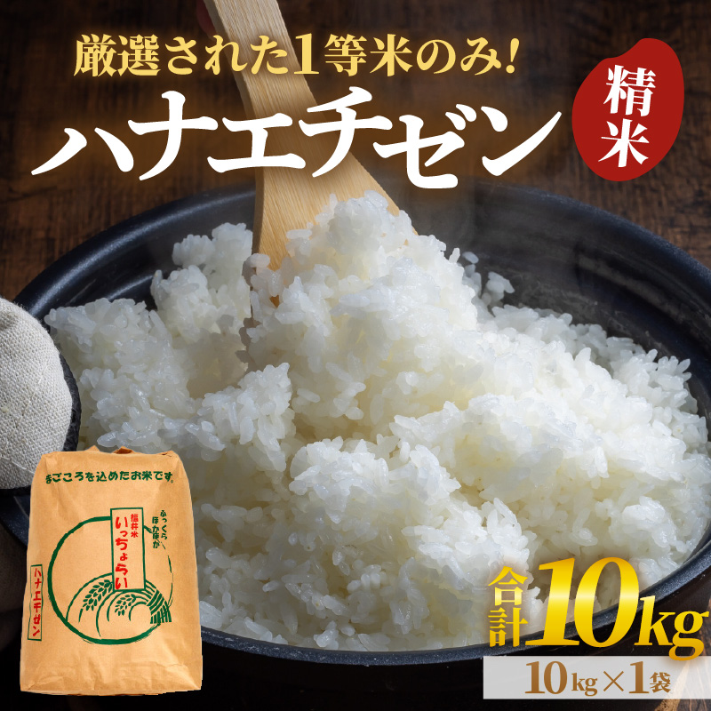 【先行予約】【令和8年産・新米】【一等米】ハナエチゼン 精米 10kg ×1袋《発送直前精米！》 ／ 福井県産 ブランド米 ご飯 白米 お米 コメ 新鮮 大賞 受賞 新米 ※2026年9月上旬以降順次発送予定 [aw012-a035]