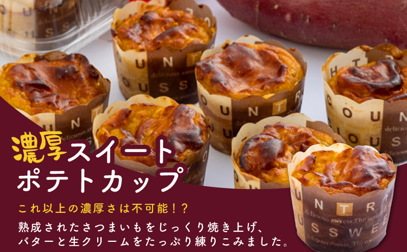 【圧倒的企業努力】芋匠さのやの人気セット（特製スイートポテト+モンブラン） 010B1761