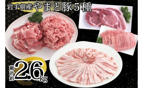 岩手県産 やまと豚５種 約2.6㎏ 国産 肉 豚肉 やまと豚 鍋 焼肉 豚ロース 豚バラ 豚こま モモスライス ひき肉 とんかつ 生姜焼き しゃぶしゃぶ 真空パック