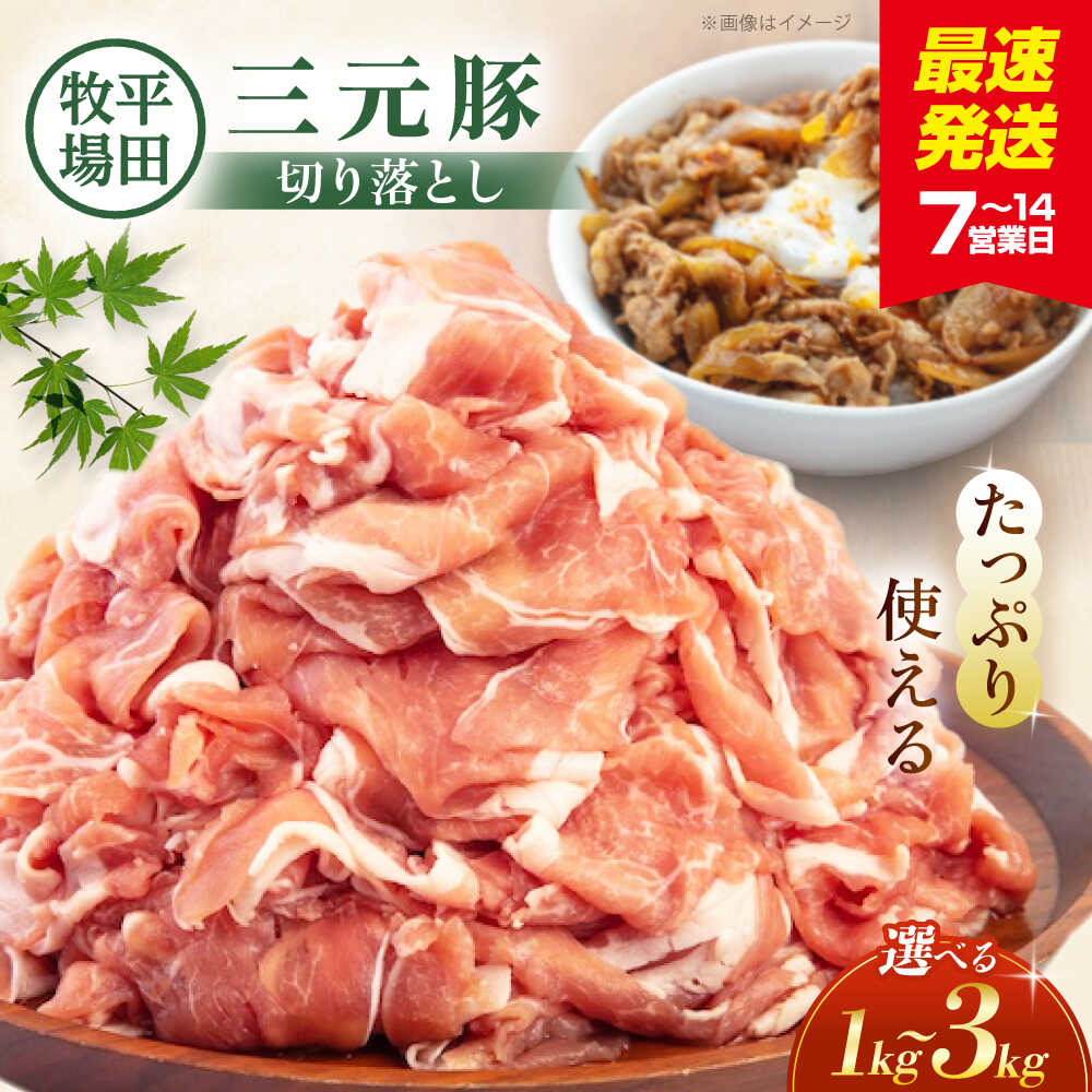 【ふるさと納税】【選べる内容量】平田牧場 切り落とし 1～3kg (500g/パック) 《喜茂別町》【平田牧場】 肉 豚肉 生姜焼き 小分け 冷凍 冷凍配送 北海道 平田牧場 三元豚 [AJAP005] 11000 11000円 20000 20000円 2万円 30000 30000円 3万円