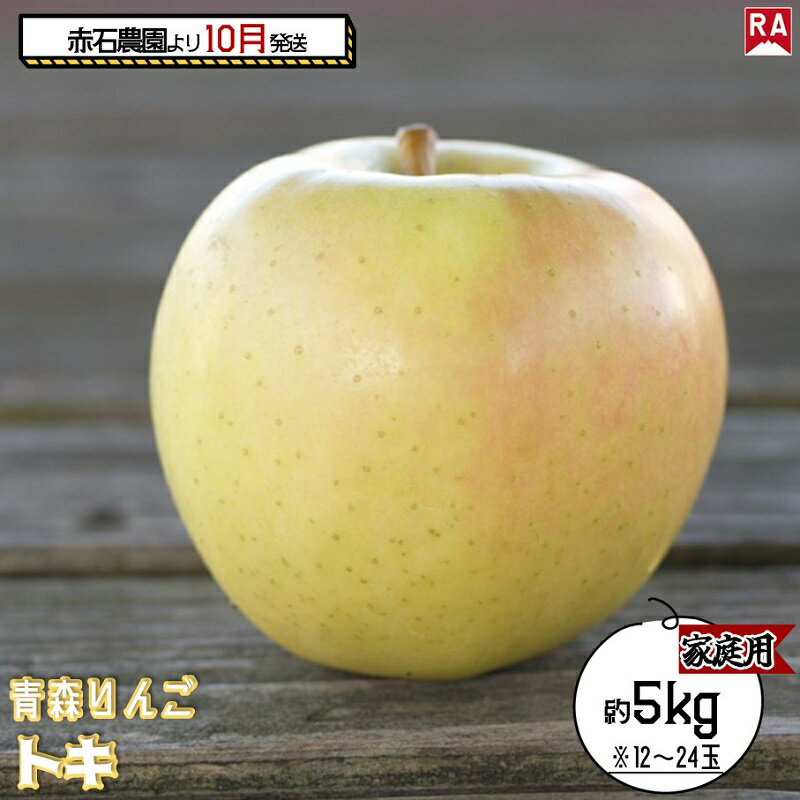 【ふるさと納税】りんご 【 10月発送 】家庭用 トキ 約 5kg 【 弘前市産 青森りんご 果物 フルーツ 食後 デザート 黄色りんご 濃厚な甘み 爽やかな香り 果汁たっぷり 】　お届け：2025年10月15日～2025年10月31日