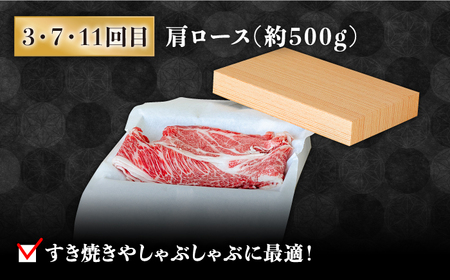 【豪華12回定期便】長崎 和牛 食べ比べ / ヒレ サーロイン ロース シャトーブリアン / 肉厚 牛肉 贅沢 ジューシー 牛 ステーキ肉 / 南島原市 / ながいけ[SCH055]